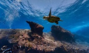 Mapeamento de Fernando de Noronha